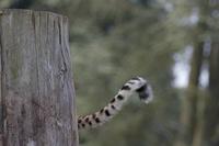 Cjp_2011_08_02_075306 (2).jpg